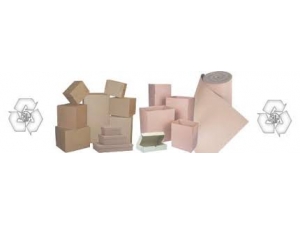 Empaquetenica - Fabrica De Cajas De Tipo Standard, Especiales, Troqueladas De Todo Tipo