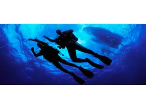 Cursos De Buceo